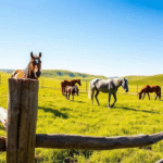 Horse Pasture Fencing for Safety